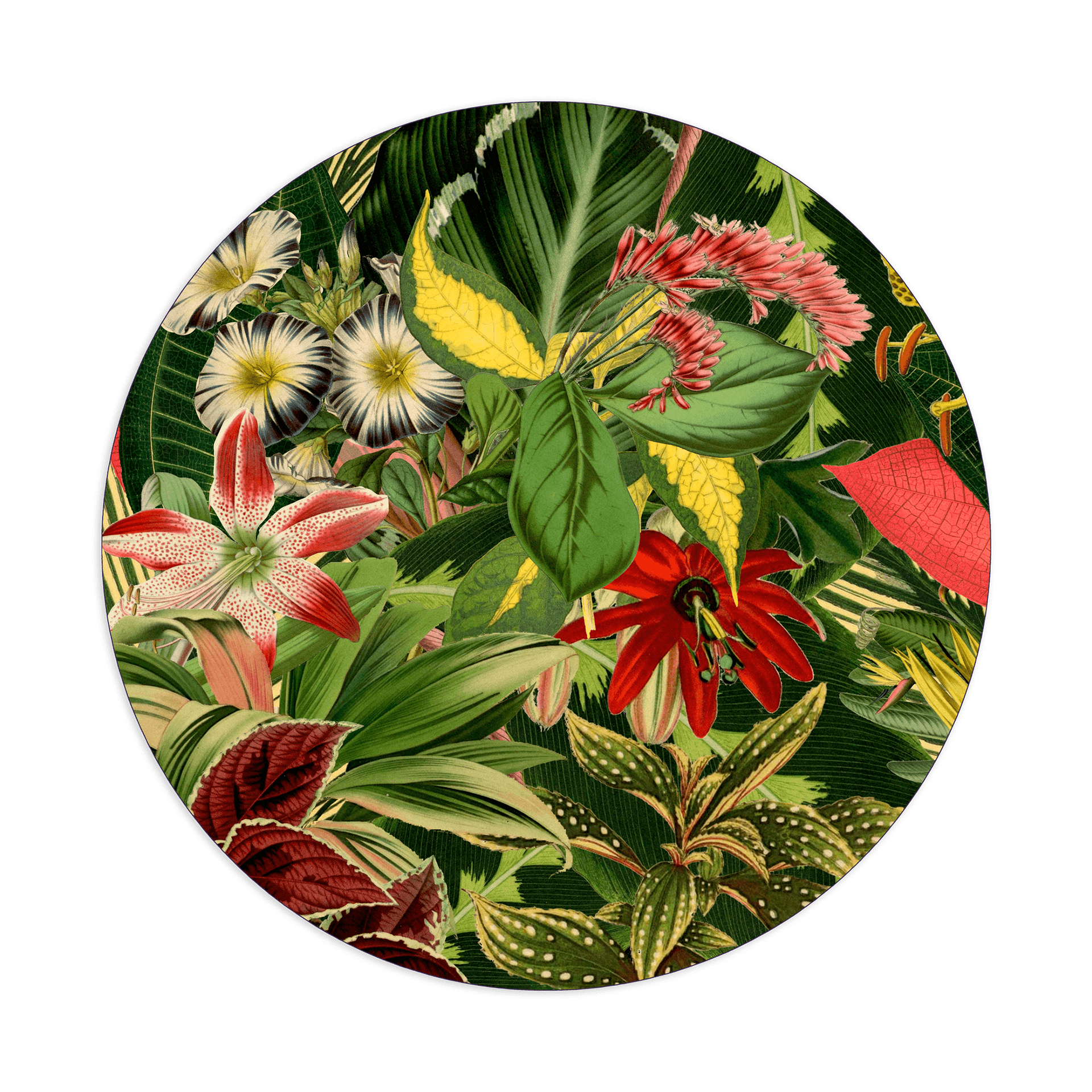 Ковер Herbarium of Extinct Plants 