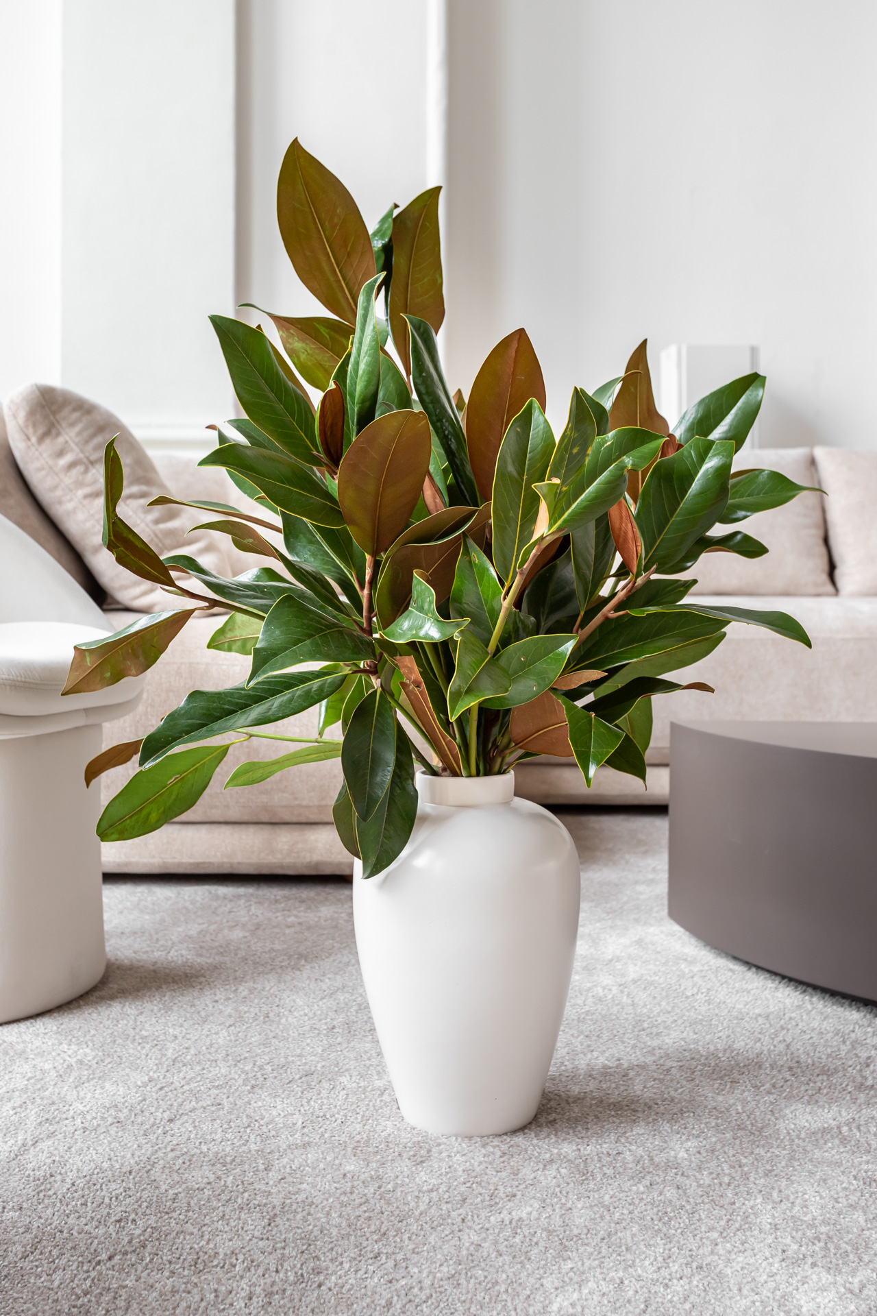 Башня серебряного инея - изображение 4