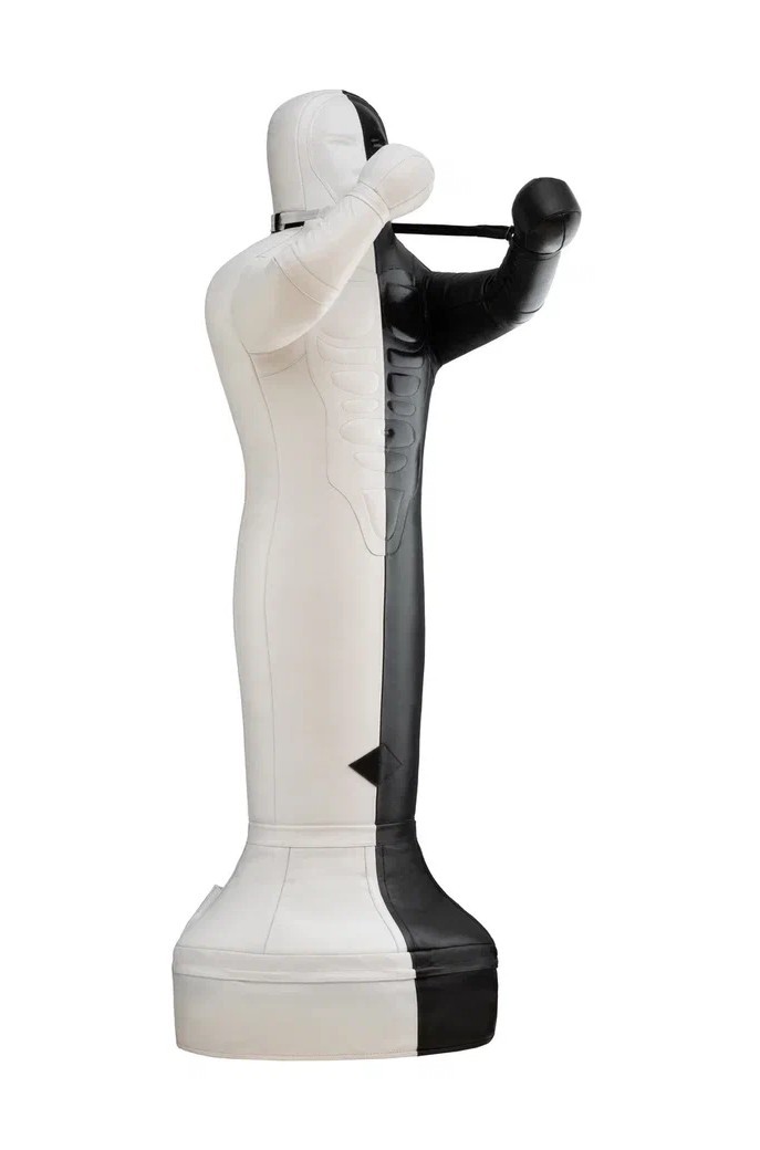 Спарринг-партнер ИНЬ-ЯНЬ - изображение 3