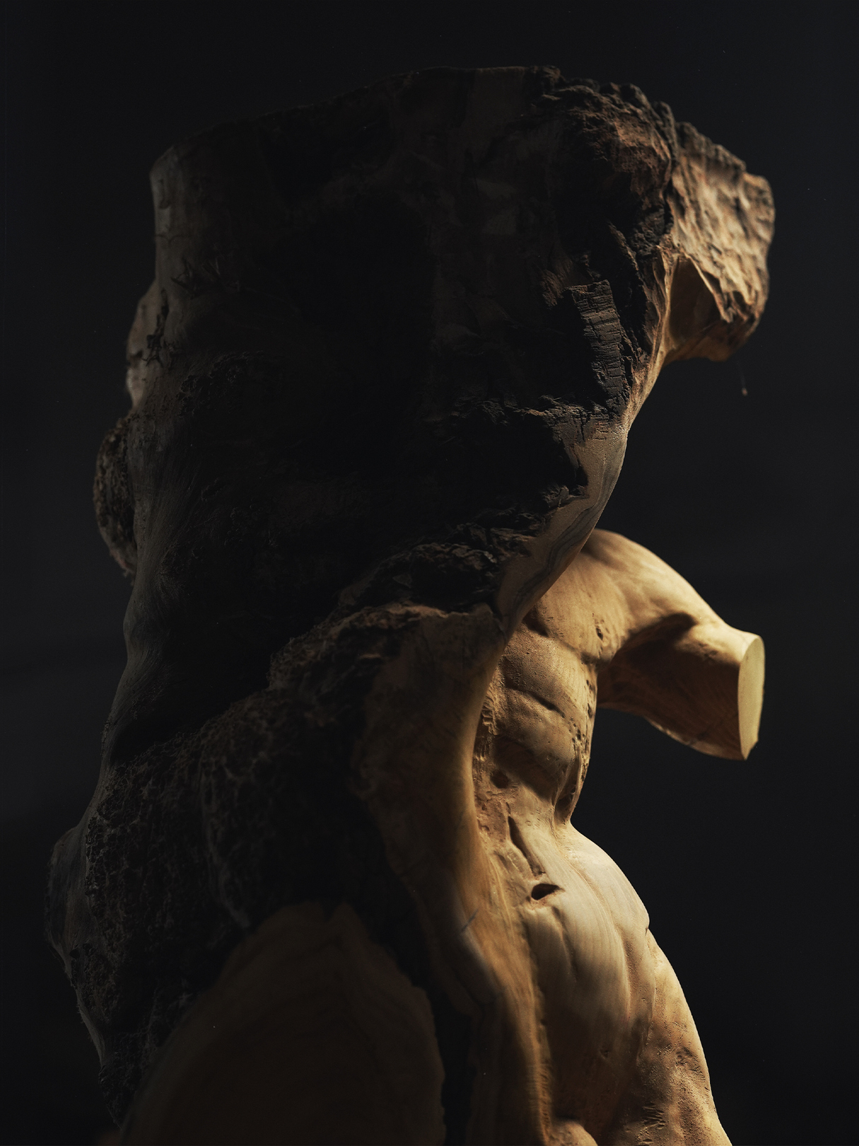 Torso by Данила Колтушкин — дизайнерская мебель, свет и декор Made Sense
