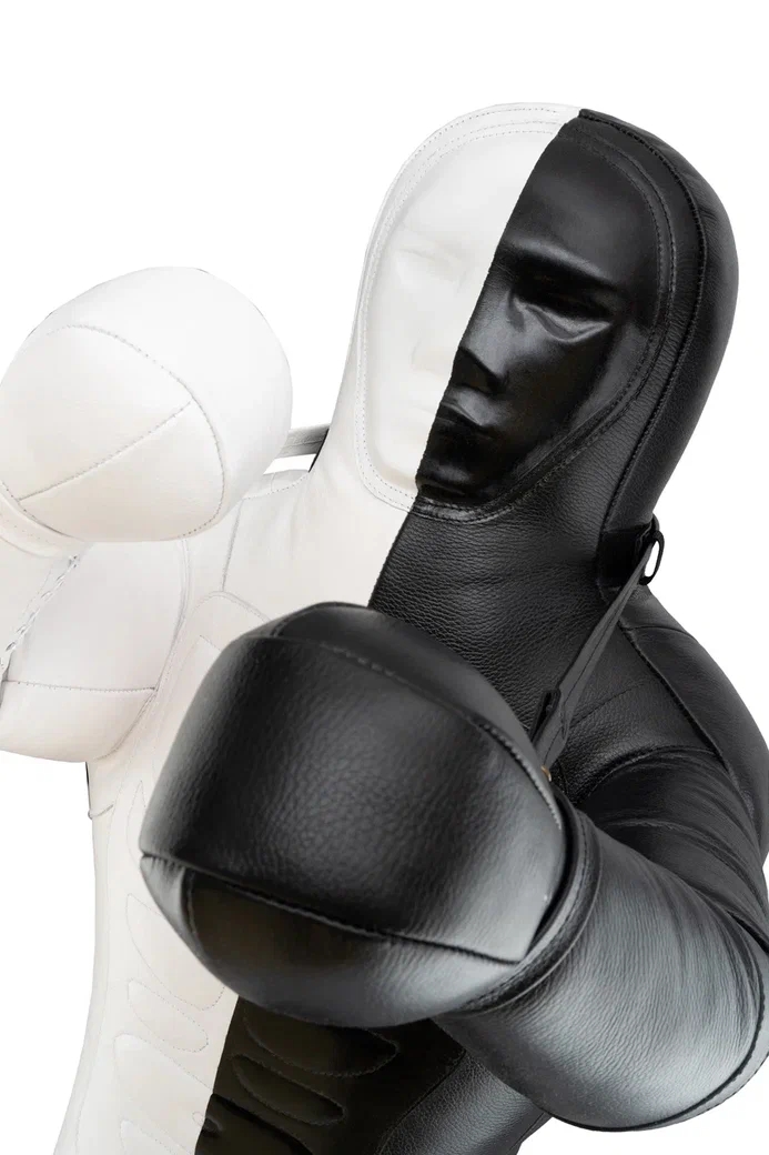 Спарринг-партнер ИНЬ-ЯНЬ - изображение 2