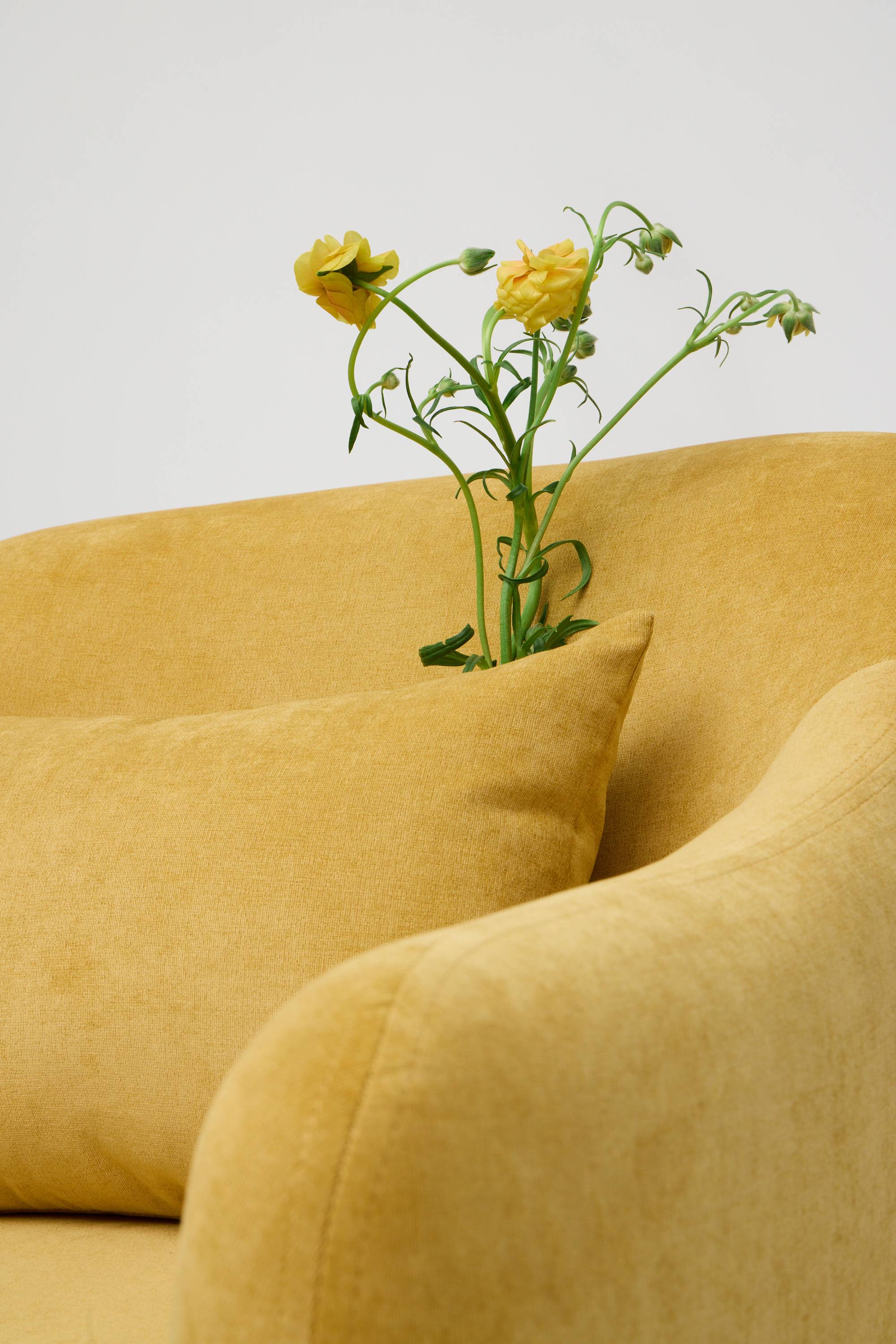 Кресло Ernest  - изображение 2