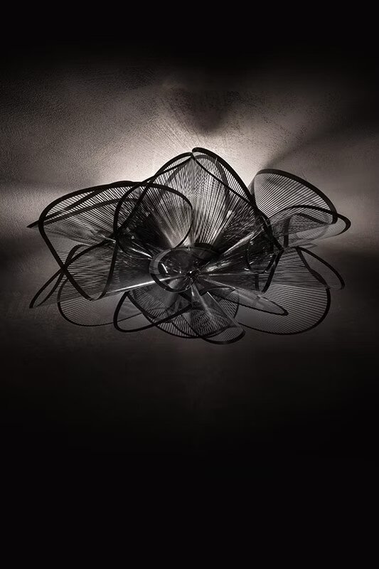 Бра / потолочный La Belle Etoile by Slamp — дизайнерская мебель, свет и декор Made Sense