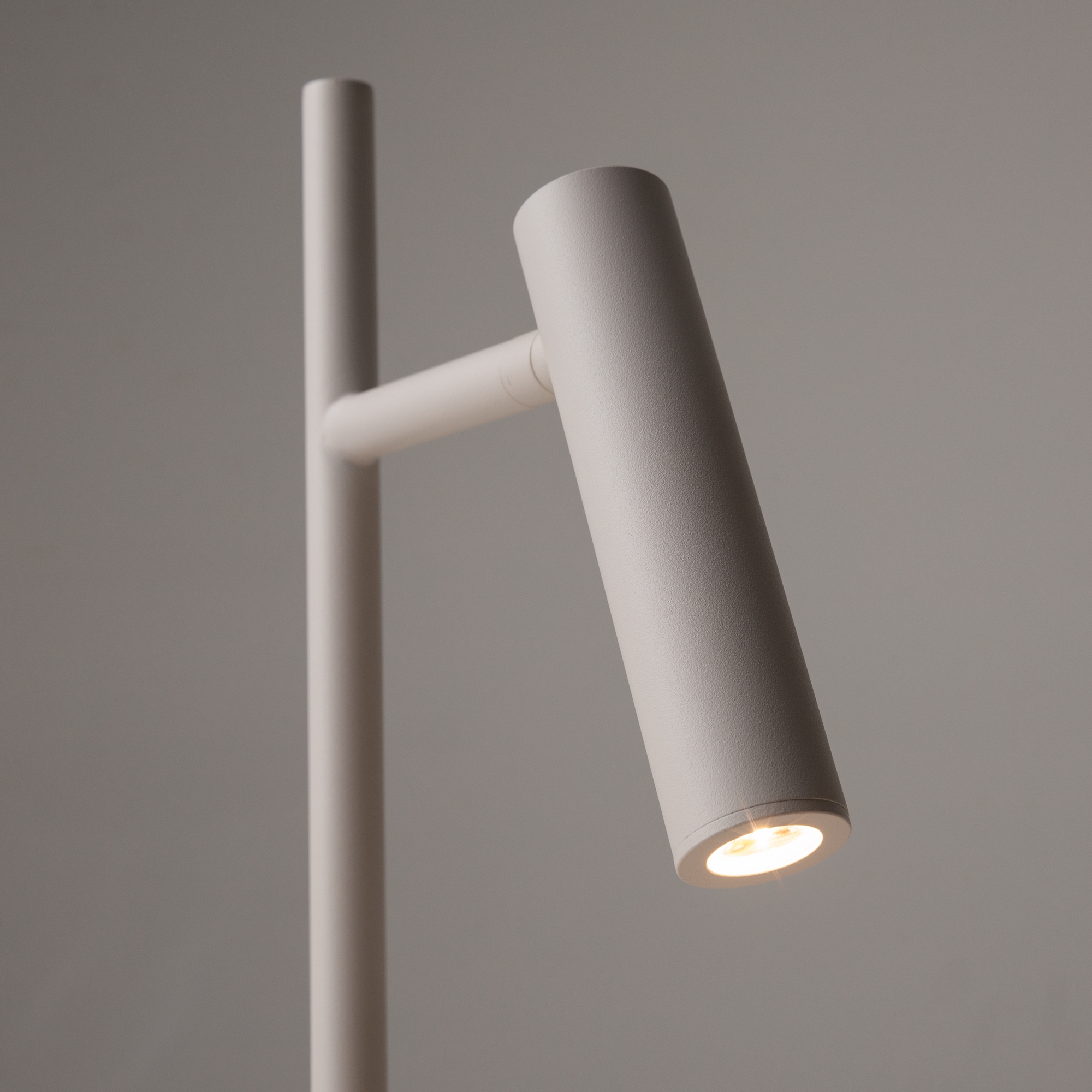 Напольный светильник (торшер) Maytoni Z010FL-L8W3K - изображение 3