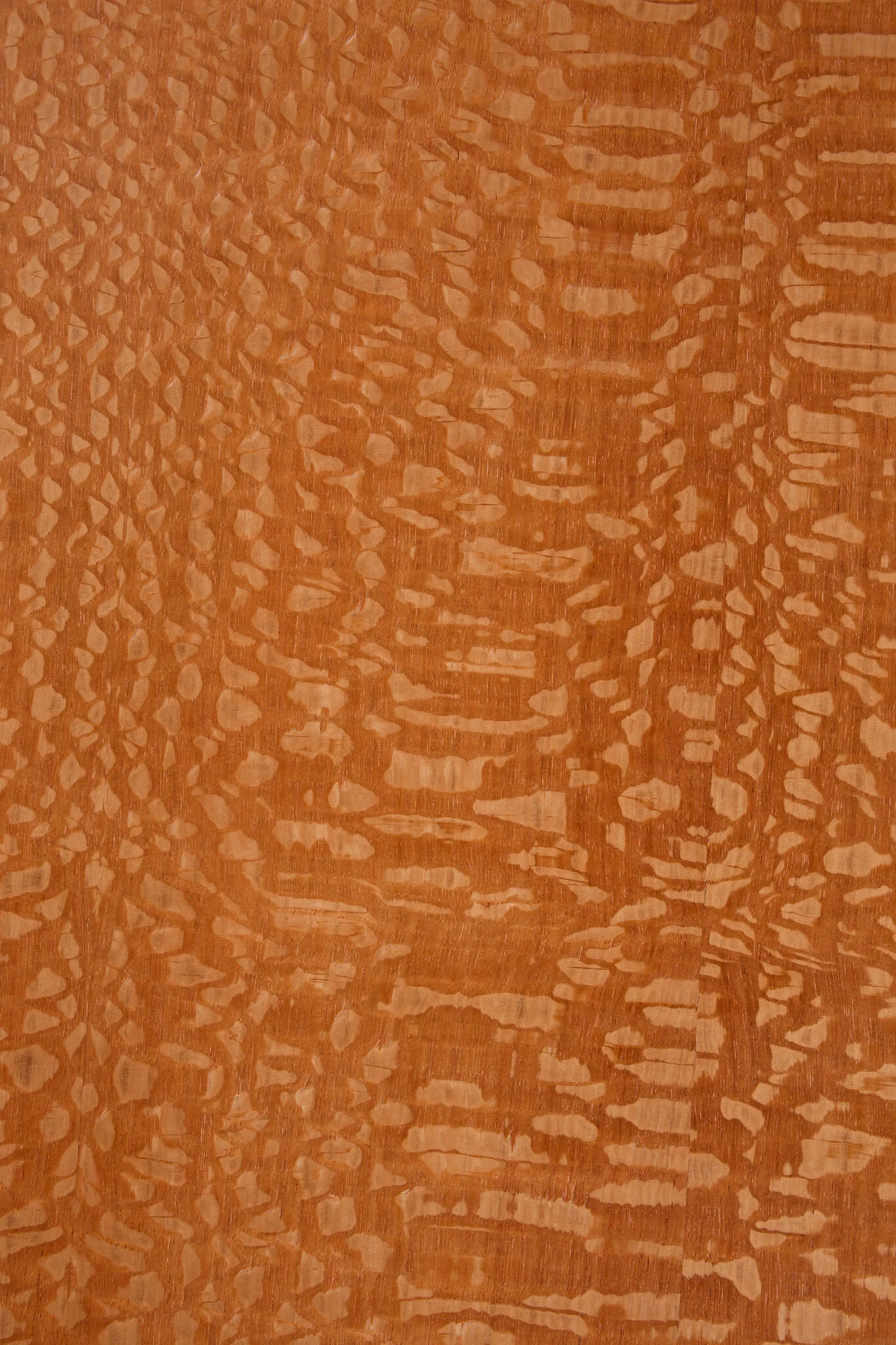 Консоль Totem - изображение 4