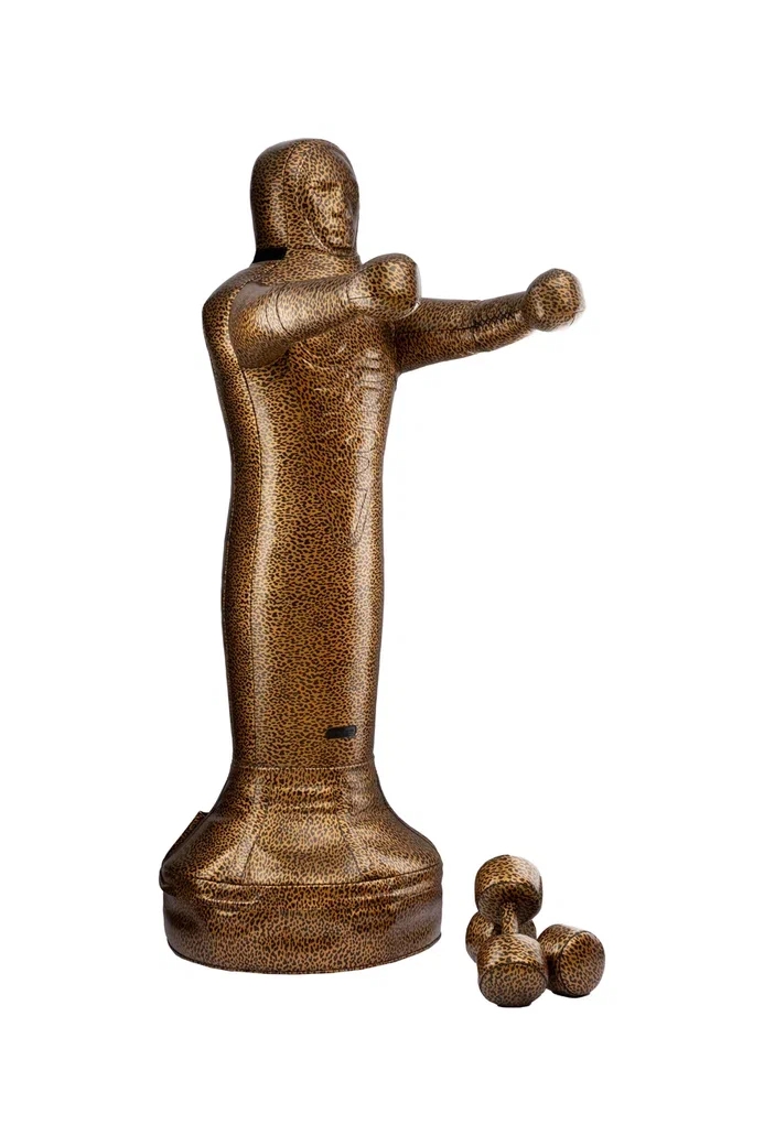 Спарринг-партнер LEO - изображение 4