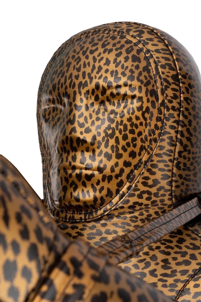 Спарринг-партнер LEO - изображение 3