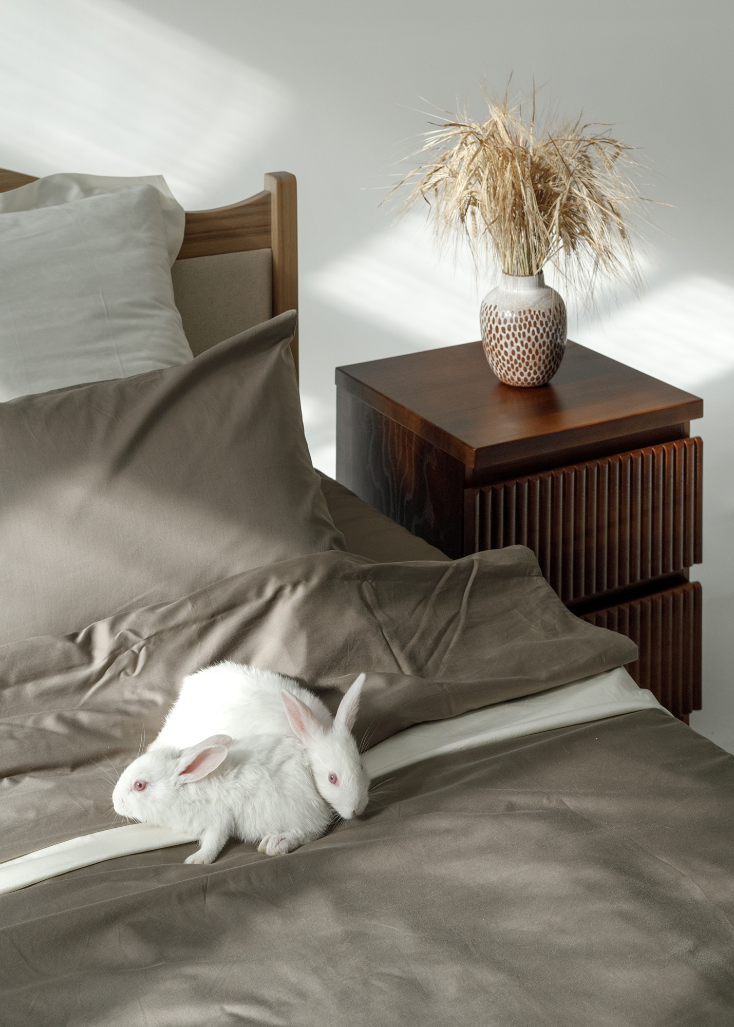 Тумба БОР - изображение 3