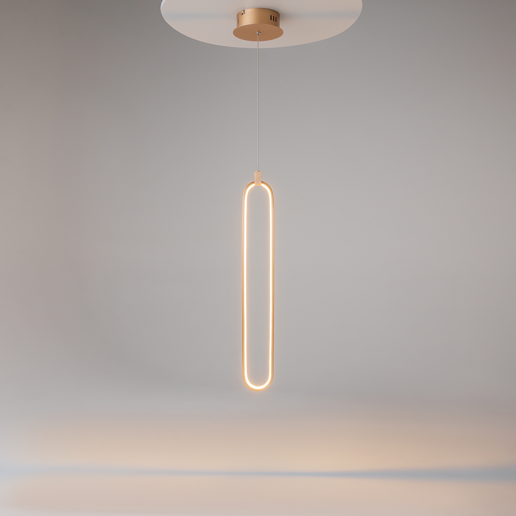 Подвесной светильник Maytoni MOD017PL-L13G - изображение 5